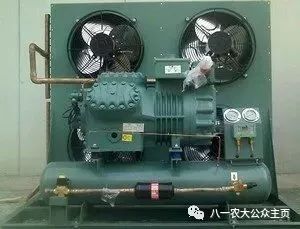 報考八一農(nóng)大的十大選擇之二 你是王者,也是榮耀